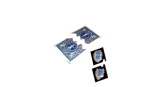 Karate - INSTANT DOWNLOAD - Merchant of Magic Magic Shop