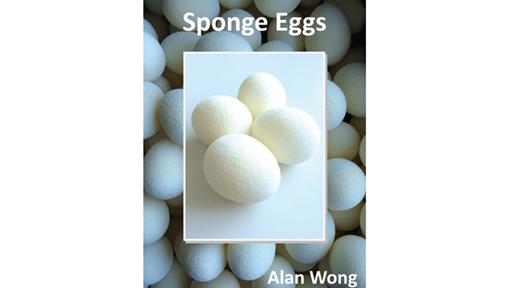 Sponge Eggs (4pk.) by Alan Wong 