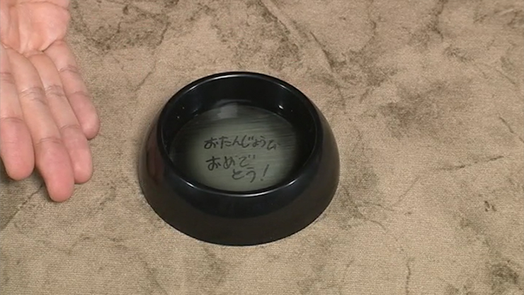 The Little Water Mystery - Merchant of Magic Magic Shop