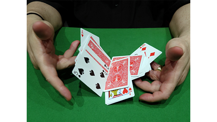 CIB: Cards In Bag (Gimmicks and Instructions) by Dominique Duvivier 