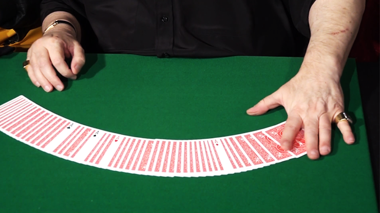 CIB: Cards In Bag (Gimmicks and Instructions) by Dominique Duvivier 