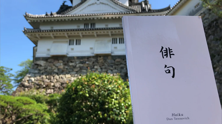 Haiku Book Test 2.0 by Vincent Hedan 