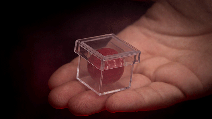 MAGIC CHAMBER (Gimmicks and Instructions) by Apprentice Magic 