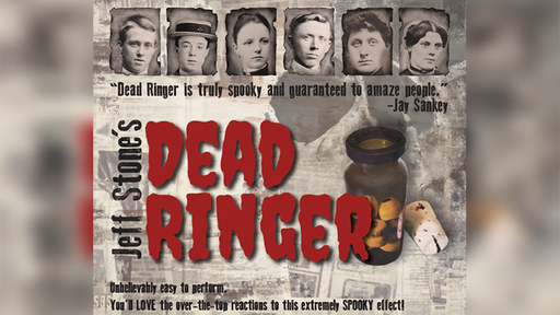 DEAD RINGER by Jeff Stone 