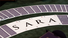 DMC Alpha V3 (Purple) Portcullis with Online Instructions