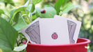Lucky Ladybug (Log) by Joshua Ray & Deuce Gala Magic