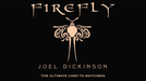 Firefly by Joel Dickenson