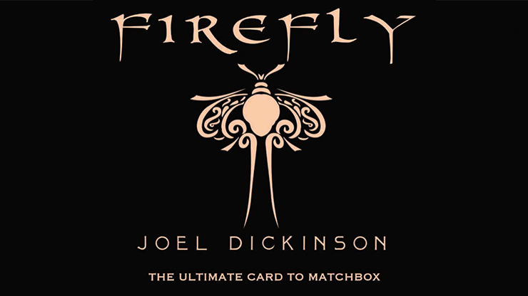 Firefly by Joel Dickenson