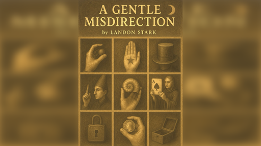 A Gentle Misdirection by Landon Stark - ebook