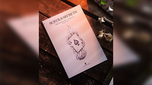 Subtle Secrets 1 by Thibault Ternon