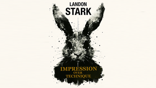 Impression Over Technique by Landon Stark - ebook