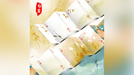 Bicycle Seasons (Autumn Edition) Playing Cards