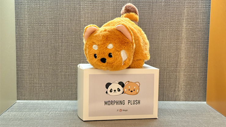 Morphing Plush (Panda to Raccoon) by Jackie Zhao and JT Magic