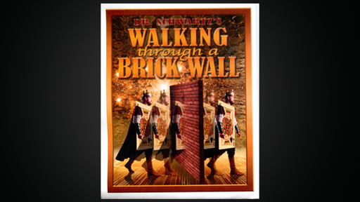 Walking Thru a Brick Wall by Martin Schwartz
