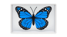 Omni Butterfly by Hyde Ren & Bacon Magic