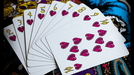 KEVIN STAAB 40TH ANNIVERSARY PIRATE PLAYING CARDS