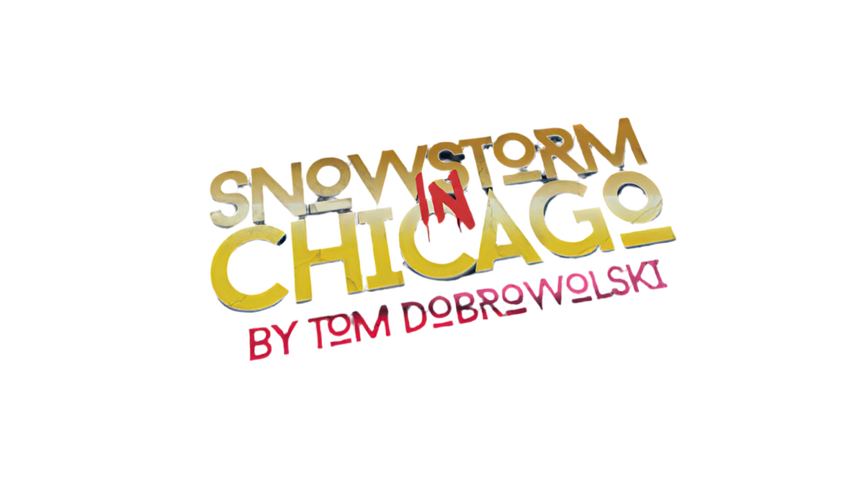 Snowstorm In Chicago (Red) by Tom Dobrowolski