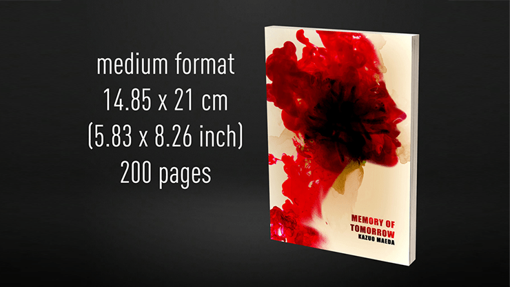 Babel Book Test 4 by Vincent Hedan (Memory of tomorrow), medium, 600 pages - Merchant of Magic