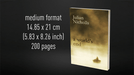 Babel Book Test 6 by Vincent Hedan (A World's End), medium, 200 pages - Merchant of Magic