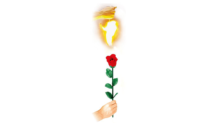 Instant Rose by Vincenzo DiFatta - Merchant of Magic