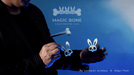 Magic Bones by Leonardo Arvelaez - Merchant of Magic