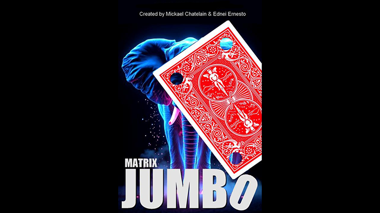 Matrix Revolution Jumbo (Red) by Mickael Chatelain - Merchant of Magic