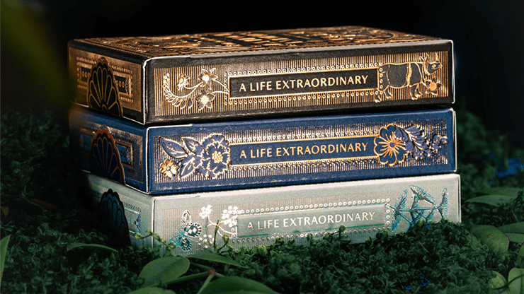 Mooi Collector's Edition BOXSET by theory11 - Merchant of Magic