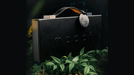 Mooi Collector's Edition BOXSET by theory11 - Merchant of Magic