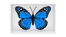 Omni Butterfly by Hyde Ren & Bacon Magic - Merchant of Magic