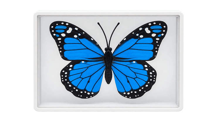 Omni Butterfly by Hyde Ren & Bacon Magic - Merchant of Magic