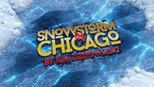 Snowstorm In Chicago (Blue) by Tom Dobrowolski - Merchant of Magic
