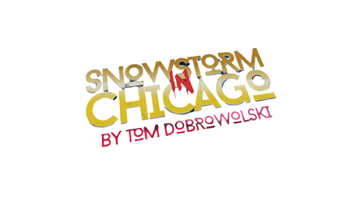 Snowstorm In Chicago (Red) by Tom Dobrowolski - Merchant of Magic