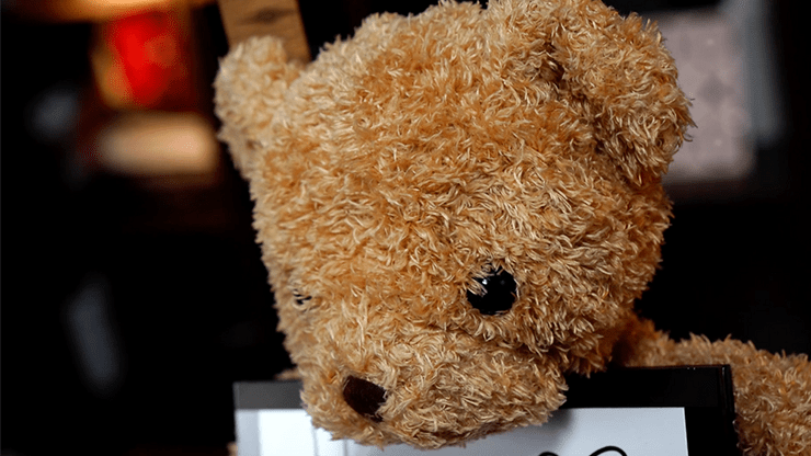 Teddy Unframed - Merchant of Magic