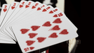 THE TEXAS CHAINSAW MASSACRE™ PLAYING CARDS - Merchant of Magic
