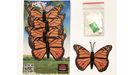Magic Spider Butterfly Pack by Ian Pidgeon- Trick