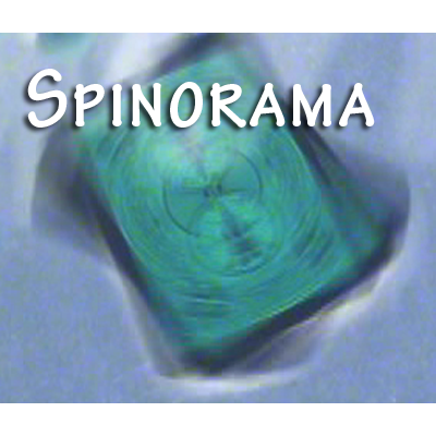 Spinorama by William Lee - INSTANT DOWNLOAD
