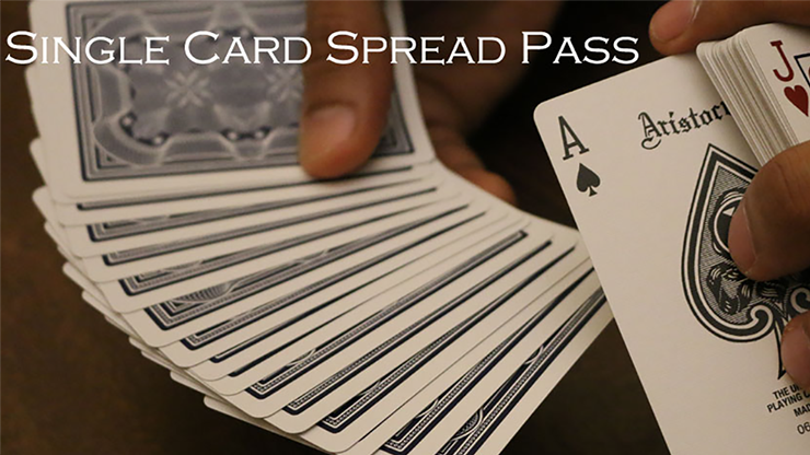 Magic Encarta Presents Single Card Spread Pass by Vivek Singhi - INSTANT DOWNLOAD