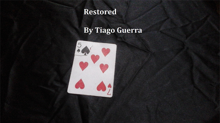 Restored by Tiago Guerra - INSTANT DOWNLOAD