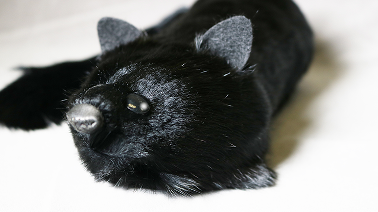 Black Fox Spring Animal by Magic Masters - Merchant of Magic