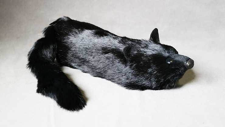 Black Fox Spring Animal by Magic Masters - Merchant of Magic