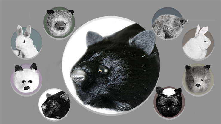 Black Fox Spring Animal by Magic Masters - Merchant of Magic