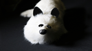 White Fox Spring Animal by Magic Masters - Merchant of Magic