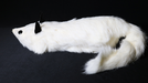 White Fox Spring Animal by Magic Masters - Merchant of Magic