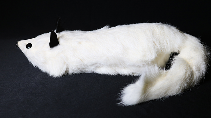 White Fox Spring Animal by Magic Masters - Merchant of Magic