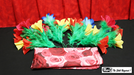 Production Hank with Four Bouquets by Mr. Magic - Trick - Merchant of Magic Magic Shop