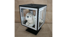 Smart Glassy Cube (4 Times with Materials) by Tora Magic - Trick - Merchant of Magic Magic Shop