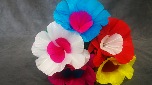 Blooming Bouquet (5 Blooms) by Tora Magic - Trick - Merchant of Magic Magic Shop