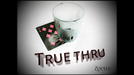 True Thru by Zoen's - INSTANT DOWNLOAD