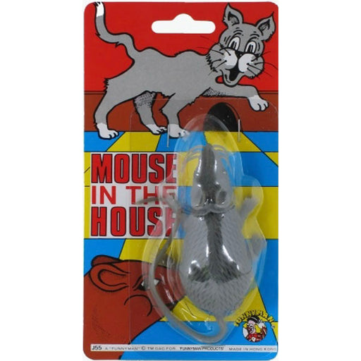 Mouse in the house - Merchant of Magic Magic Shop