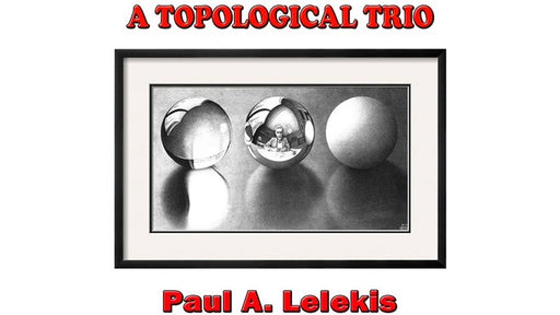 A TOPOLOGICAL TRIO by Paul A. Lelekis eBook DOWNLOAD - Merchant of Magic